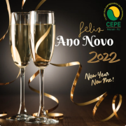 FELIZ ANO NOVO